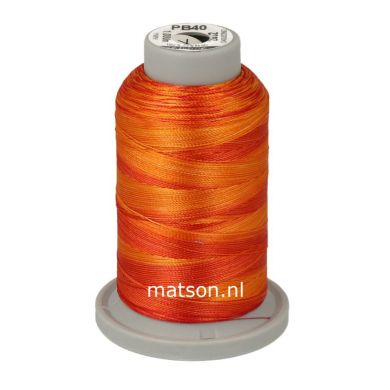 Brildor Multicolor 1000 m, kleur 2862