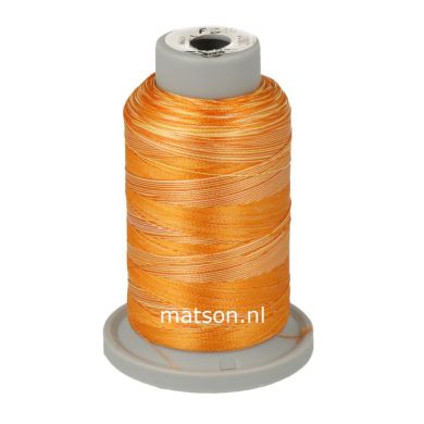 Brildor Multicolor 1000 m, kleur 2861