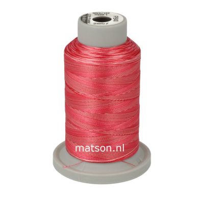 Brildor Multicolor 1000 m, kleur 2857