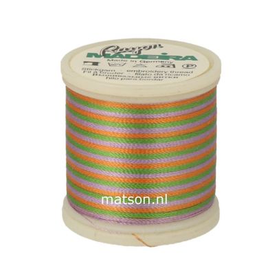 Madeira Rayon Multicolor 200 m, kleur 2143